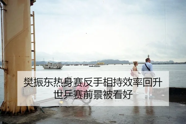 樊振东热身赛反手相持效率回升 世乒赛前景被看好